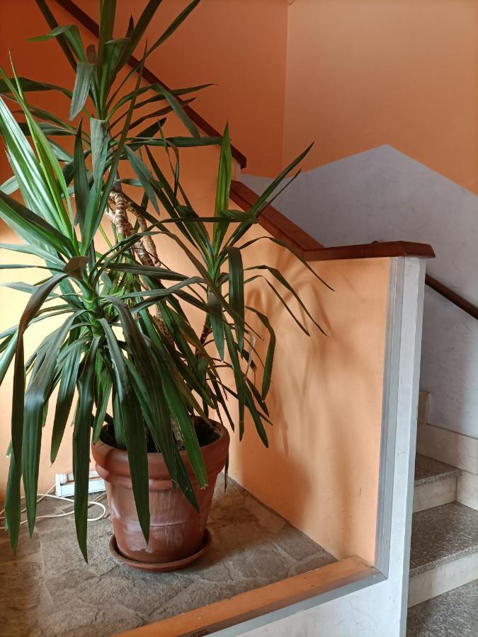 Albergo Roma Gattico Exteriér fotografie